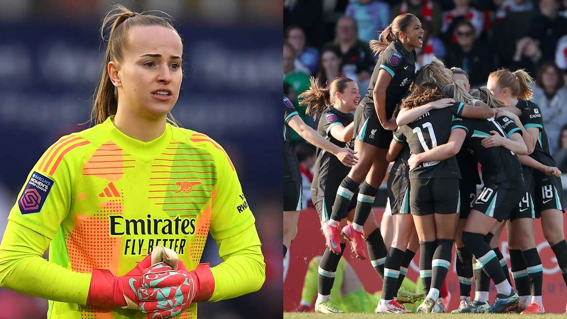 再次披上象 再次披上象