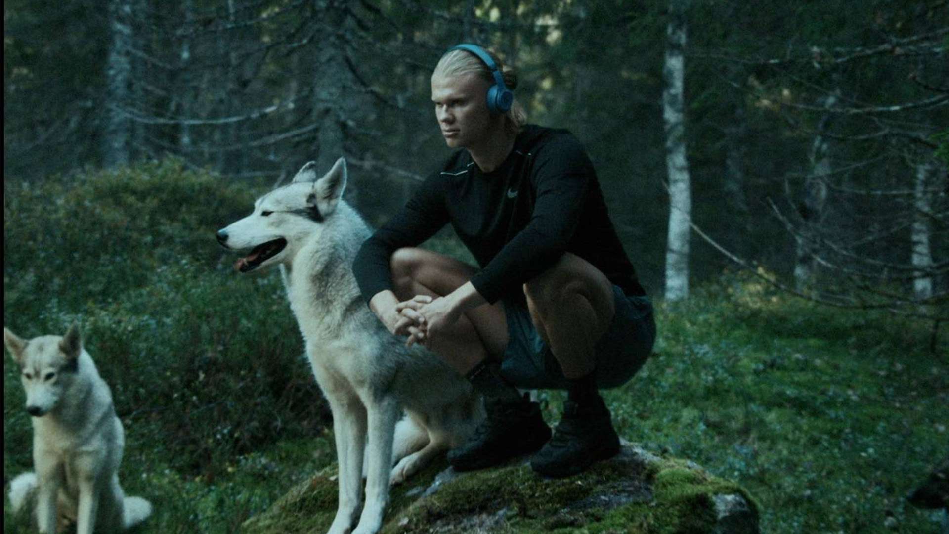 得关注的重 得关注的重