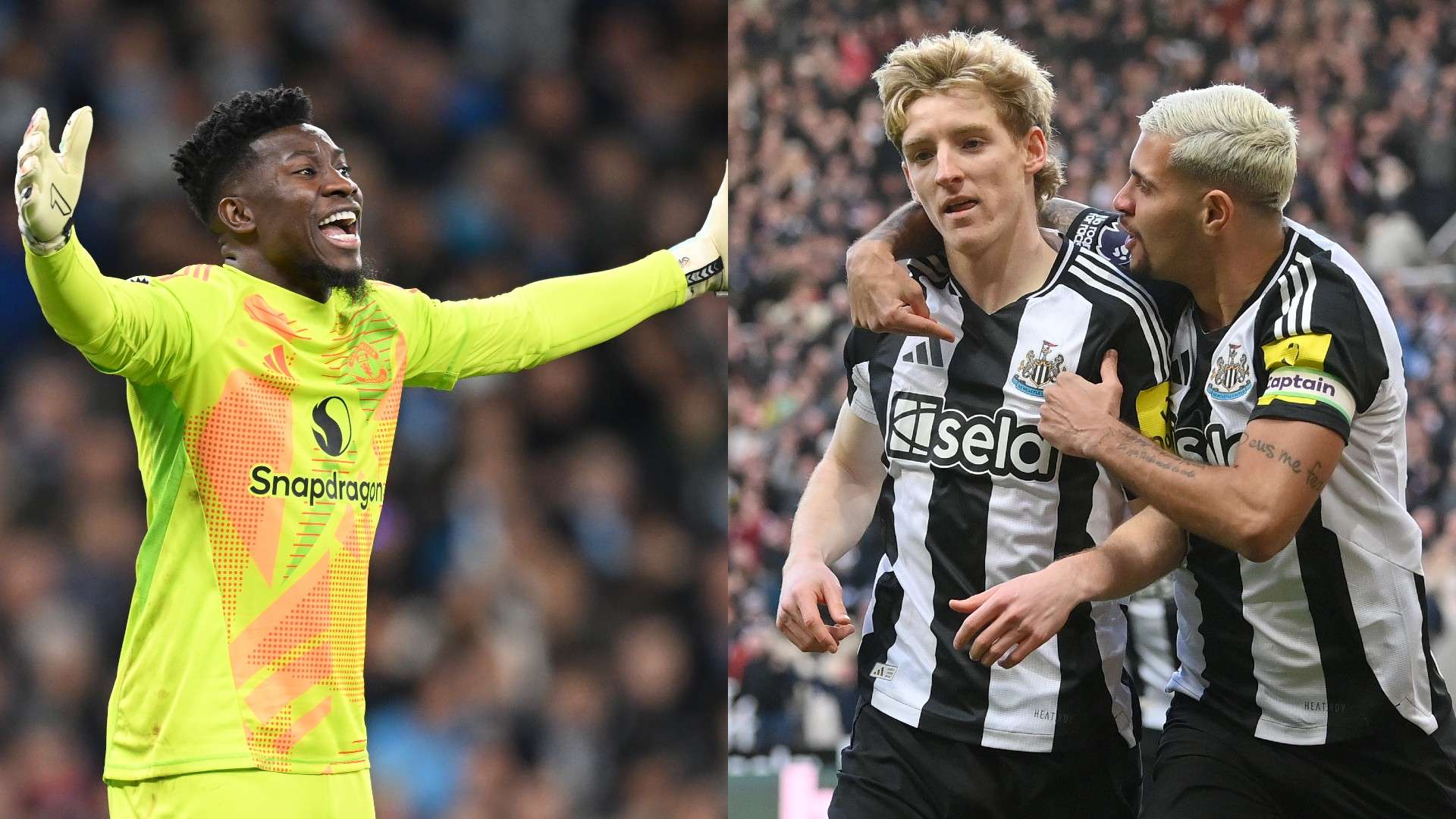 资历问鼎东 资历问鼎东