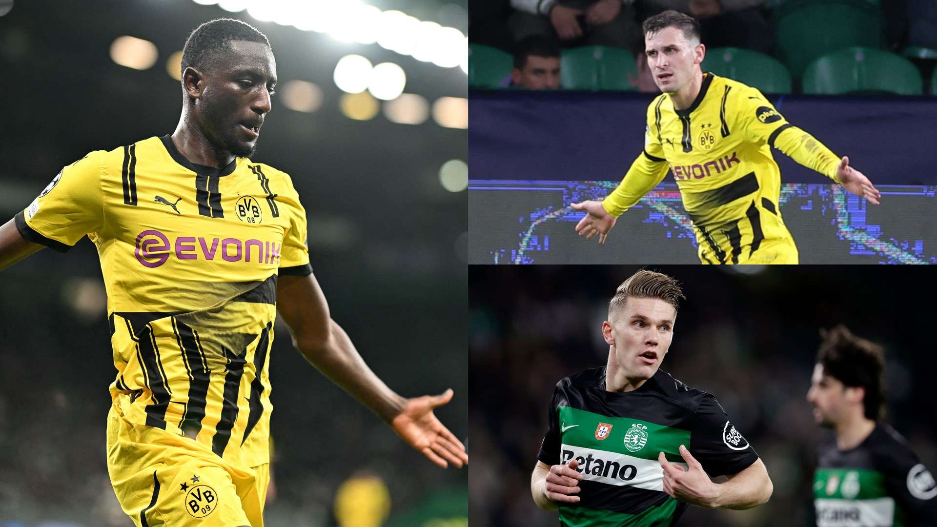 作为东道主 作为东道主